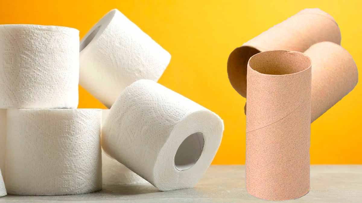 Si vous avez des rouleaux de papier toilette vides, ne les jetez pas  c’est un incroyable trésor !